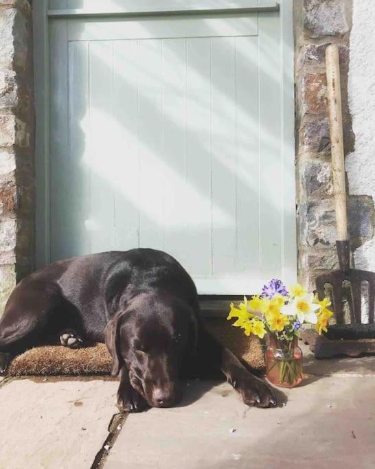 The Nookery Villa Winscombe