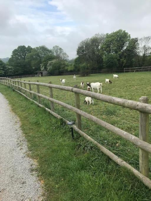 The Nookery Winscombe